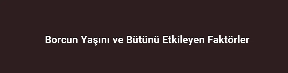 İlk H3 Başlığı: Borcun Yaşını ve Bütünü Etkileyen Faktörler