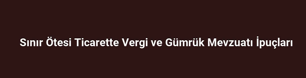 Sınır Ötesi Ticarette Vergi ve Gümrük Mevzuatı İpuçları