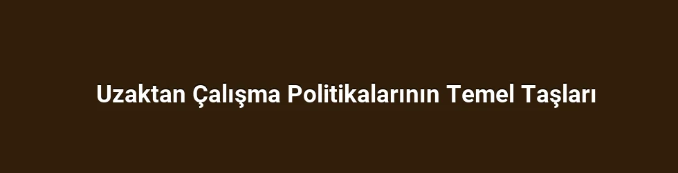 Uzaktan Çalışma Politikalarının Temel Taşları