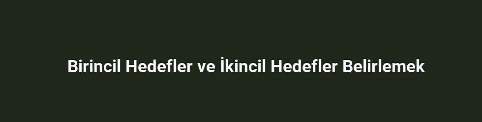 Birincil Hedefler ve İkincil Hedefler Belirlemek