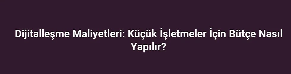 Dijitalleşme Maliyetleri: Küçük İşletmeler İçin Bütçe Nasıl Yapılır?
