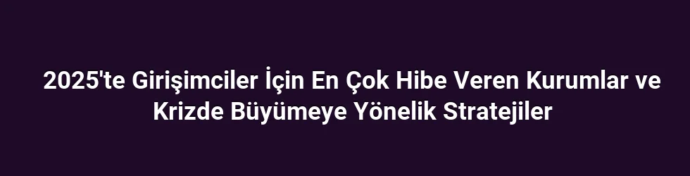 2025'te Girişimciler İçin En Çok Hibe Veren Kurumlar ve Krizde Büyümeye Yönelik Stratejiler