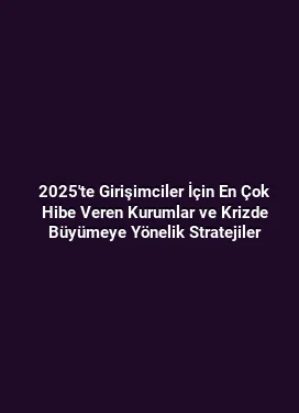 2025'te Girişimciler İçin En Çok Hibe Veren Kurumlar ve Krizde Büyümeye Yönelik Stratejiler