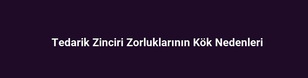 Tedarik Zinciri Zorluklarının Kök Nedenleri