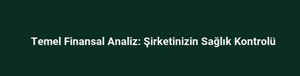 Temel Finansal Analiz: Şirketinizin Sağlık Kontrolü