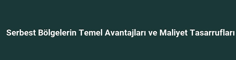 Serbest Bölgelerin Temel Avantajları ve Maliyet Tasarrufları