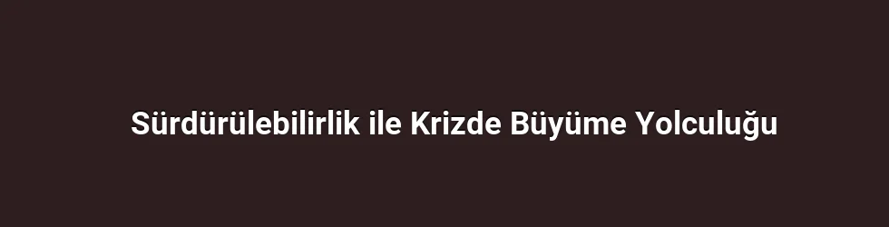 Krizin Anlaşılırlığı ve Değerin Netleşmesi