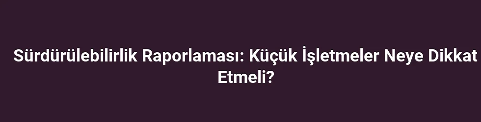 Sürdürülebilirlik Raporlaması: Küçük İşletmeler Neye Dikkat Etmeli?