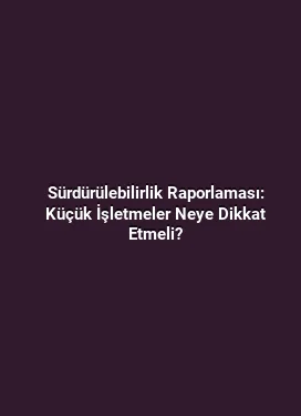 Sürdürülebilirlik Raporlaması: Küçük İşletmeler Neye Dikkat Etmeli?