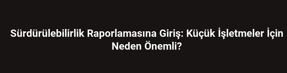 Sürdürülebilirlik Raporlamasına Giriş: Küçük İşletmeler İçin Neden Önemli?