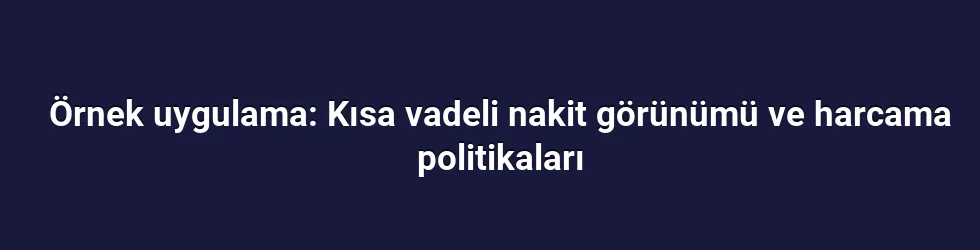 Örnek uygulama: Kısa vadeli nakit görünümü ve harcama politikaları