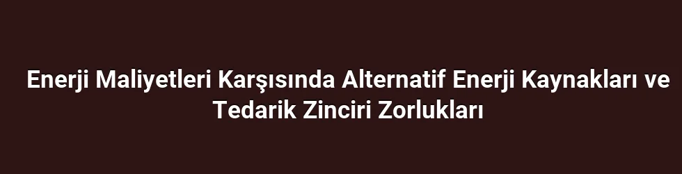 Enerji Maliyetleri Karşısında Alternatif Enerji Kaynakları ve Tedarik Zinciri Zorlukları