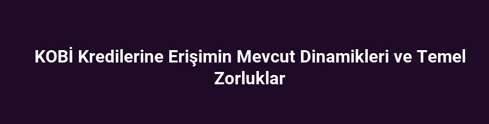 KOBİ Kredilerine Erişimin Mevcut Dinamikleri ve Temel Zorluklar