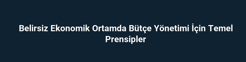 Belirsiz Ekonomik Ortamda Bütçe Yönetimi İçin Temel Prensipler
