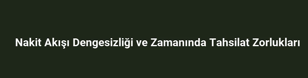 Nakit Akışı Dengesizliği ve Zamanında Tahsilat Zorlukları