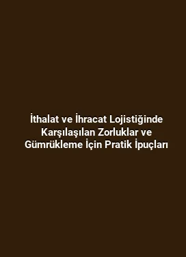İthalat ve İhracat Lojistiğinde Karşılaşılan Zorluklar ve Gümrükleme İçin Pratik İpuçları