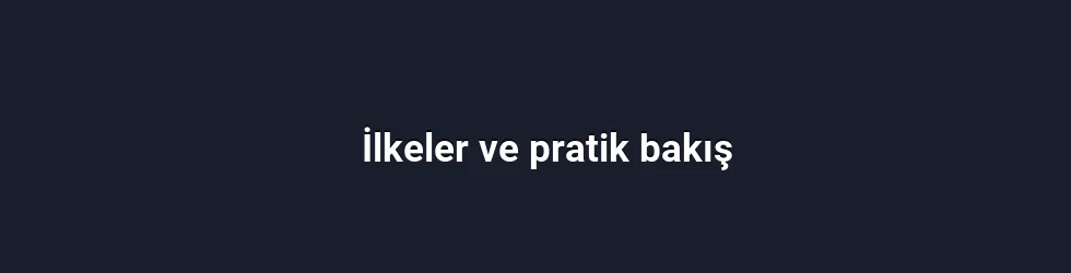 İlkeler ve pratik bakış