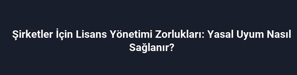 Şirketler İçin Lisans Yönetimi Zorlukları: Yasal Uyum Nasıl Sağlanır?