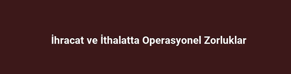 İhracat ve İthalatta Operasyonel Zorluklar