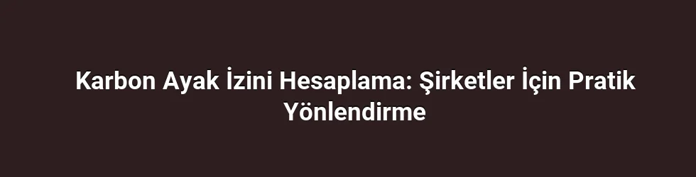 Karbon Ayak İzini Hesaplama: Şirketler İçin Pratik Yönlendirme
