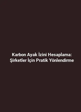 Karbon Ayak İzini Hesaplama: Şirketler İçin Pratik Yönlendirme