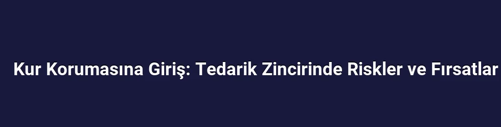 Kur Korumasına Giriş: Tedarik Zincirinde Riskler ve Fırsatlar