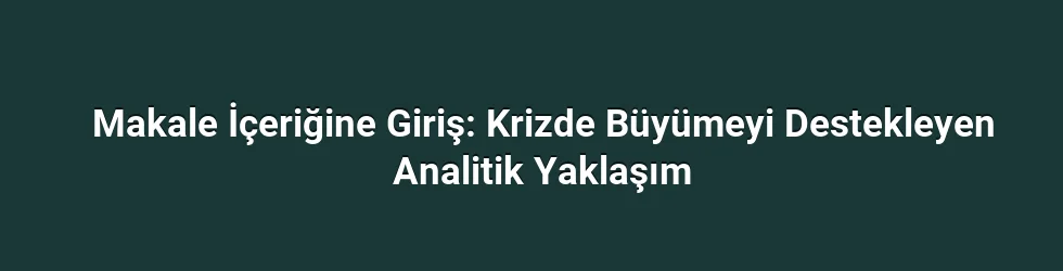 Makale İçeriğine Giriş: Krizde Büyümeyi Destekleyen Analitik Yaklaşım