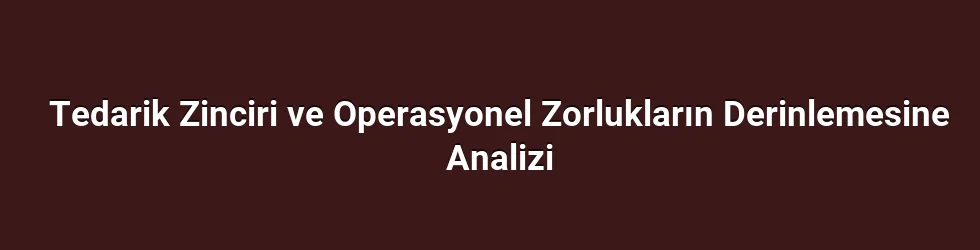 Tedarik Zinciri ve Operasyonel Zorlukların Derinlemesine Analizi