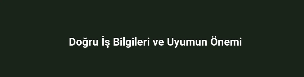 Doğru İş Bilgileri ve Uyumun Önemi