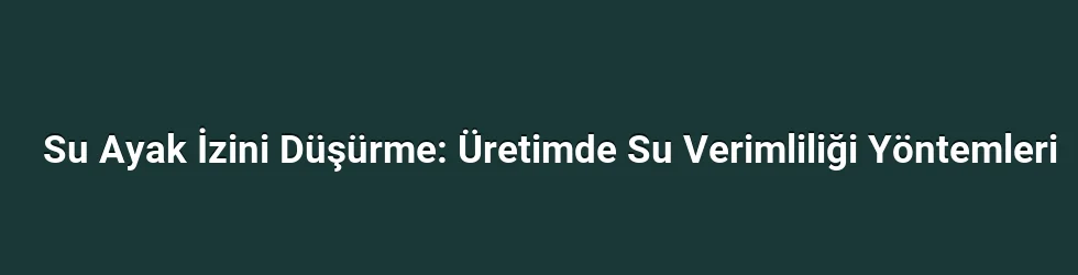 Su Ayak İzini Düşürme: Üretimde Su Verimliliği Yöntemleri
