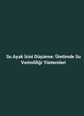 Su Ayak İzini Düşürme: Üretimde Su Verimliliği Yöntemleri