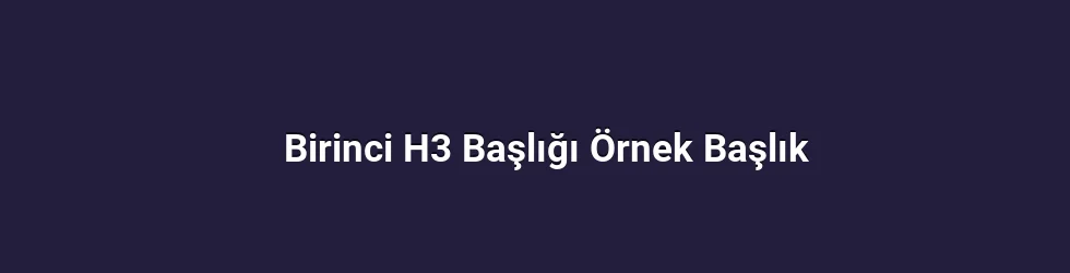 Birinci H3 Başlığı Örnek Başlık