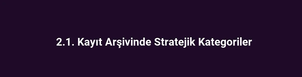 2.1. Kayıt Arşivinde Stratejik Kategoriler