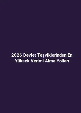 2026 Devlet Teşviklerinden En Yüksek Verimi Alma Yolları