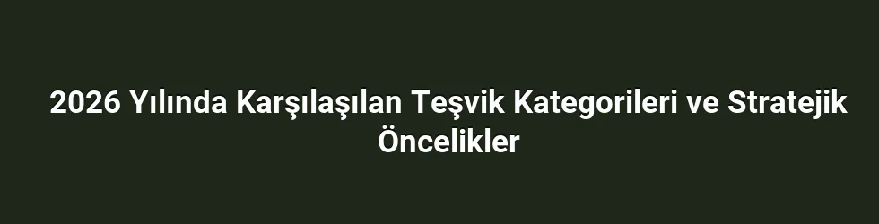 2026 Yılında Karşılaşılan Teşvik Kategorileri ve Stratejik Öncelikler