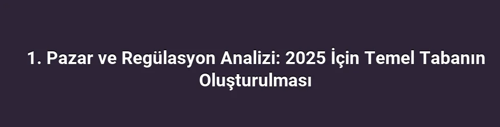 1. Pazar ve Regülasyon Analizi: 2025 İçin Temel Tabanın Oluşturulması