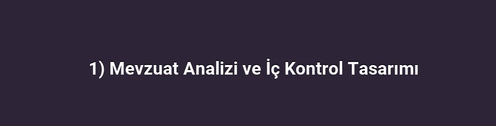 1) Mevzuat Analizi ve İç Kontrol Tasarımı