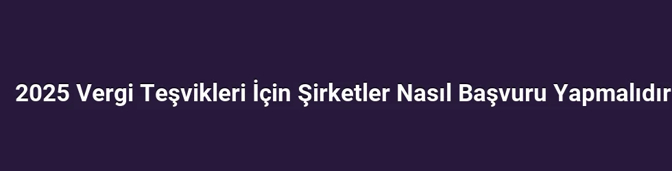 2025 Vergi Teşvikleri İçin Şirketler Nasıl Başvuru Yapmalıdır