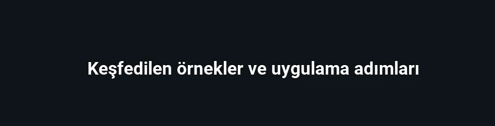 Keşfedilen örnekler ve uygulama adımları