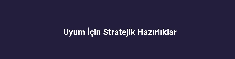 Uyum İçin Stratejik Hazırlıklar