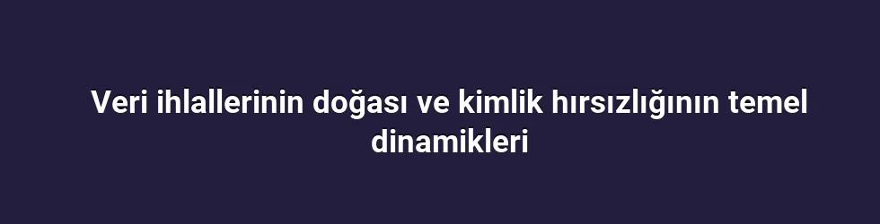 Veri ihlallerinin doğası ve kimlik hırsızlığının temel dinamikleri