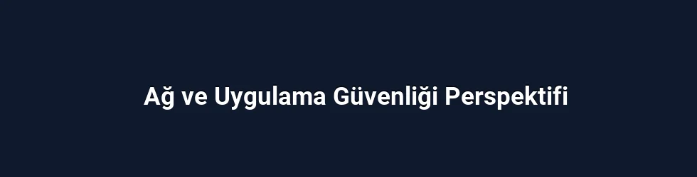 Ağ ve Uygulama Güvenliği Perspektifi