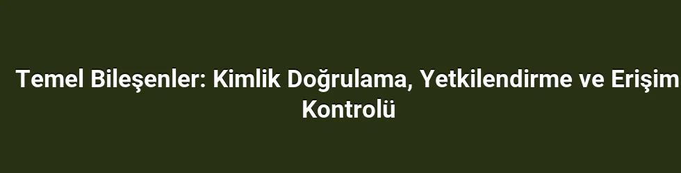 Temel Bileşenler: Kimlik Doğrulama, Yetkilendirme ve Erişim Kontrolü