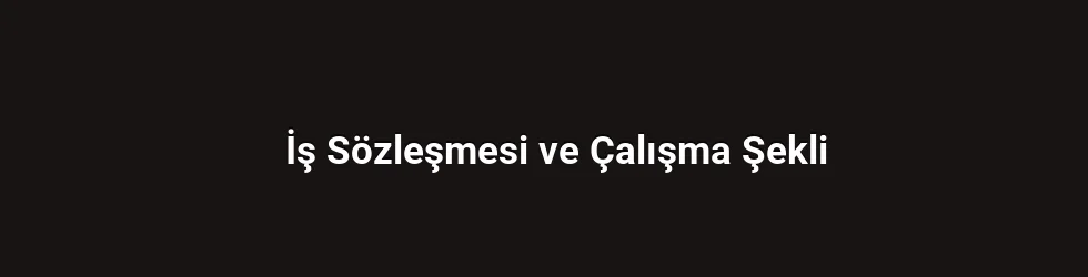 İş Sözleşmesi ve Çalışma Şekli