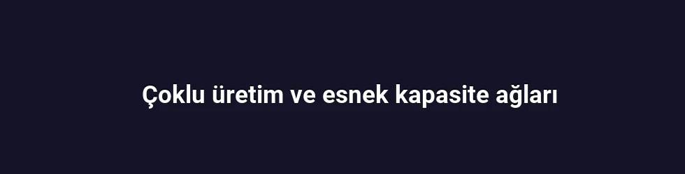 Çoklu üretim ve esnek kapasite ağları