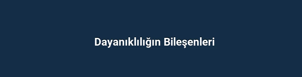 Dayanıklılığın Bileşenleri