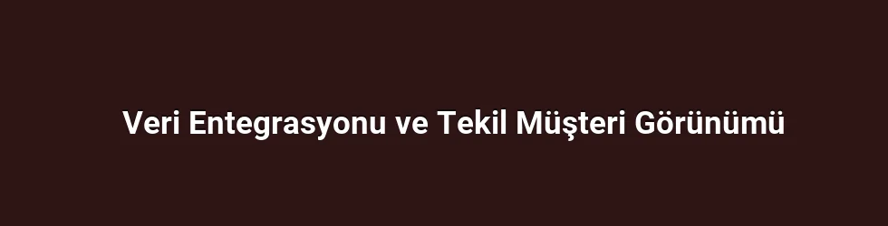 Veri Entegrasyonu ve Tekil Müşteri Görünümü
