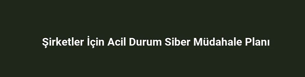 Şirketler İçin Acil Durum Siber Müdahale Planı