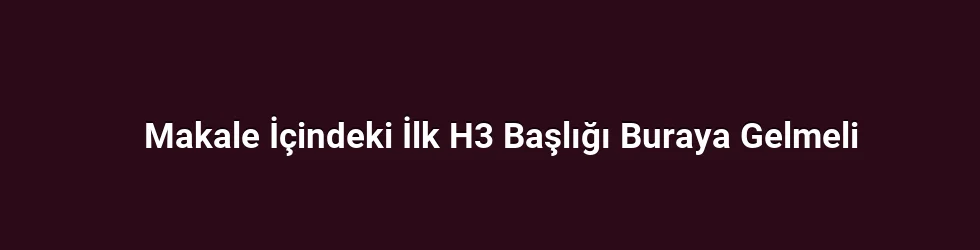 Makale İçindeki İlk H3 Başlığı Buraya Gelmeli