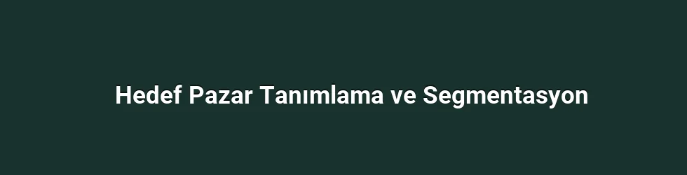 Hedef Pazar Tanımlama ve Segmentasyon